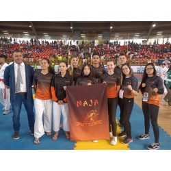 Atletas da Academia Naja conquistam bons resultados no Campeonato Paranaense de Karatê